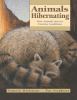 Go to record Animals hibernating : how animals survive extreme conditions