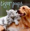 Go to record Tiger pups