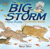 Go to record The big storm : a very soggy counting book