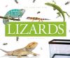 Go to record Lizards