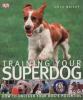 Go to record Training your superdog