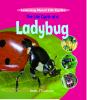 Go to record The life cycle of a ladybug