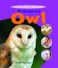 Go to record The life cycle of an owl
