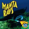 Go to record Manta rays