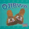 Go to record Ojibwa
