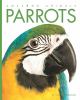 Go to record Parrots