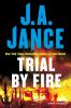 Go to record Trial by fire : a novel of suspense