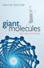 Go to record Giant molecules : from nylon to nanotubes