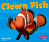 Go to record Clown fish