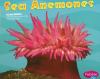 Go to record Sea anemones