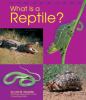 Go to record What is a reptile?