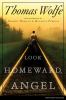 Go to record Look homeward, angel : a story of the buried life