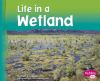 Go to record Life in a wetland