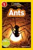 Go to record Ants!
