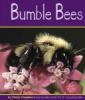 Go to record Bumble bees