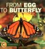 Go to record From egg to butterfly