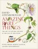 Go to record Amazing rare things : the art of natural history in the ag...