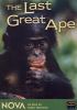 Go to record The last great ape