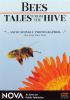 Go to record Bees - tales from the hive.