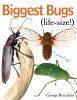 Go to record Biggest bugs life-size