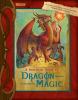 Go to record A practical guide to dragon magic