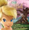 Go to record A guide to Pixie Hollow