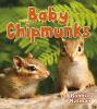 Go to record Baby chipmunks