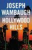 Go to record Hollywood Hills : a novel