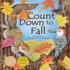 Go to record Count down to fall