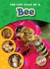 Go to record The life cycle of a bee
