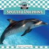 Go to record Spotted dolphins