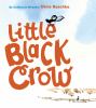 Go to record Little black crow