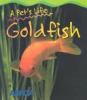 Go to record Goldfish