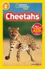 Go to record Cheetahs