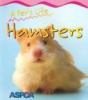 Go to record Hamsters