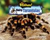 Go to record Hairy tarantulas
