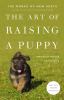 Go to record The art of raising a puppy