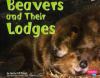 Go to record Beavers and their lodges
