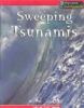 Go to record Sweeping tsunamis