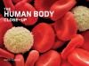 Go to record The human body close-up