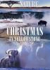 Go to record Christmas in Yellowstone
