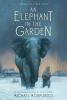 Go to record An elephant in the garden