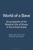 Go to record World of a slave : encyclopedia of the material life of sl...