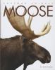 Go to record Moose