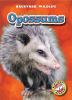 Go to record Opossums