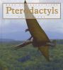 Go to record Pterodactyls