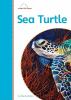 Go to record Sea turtle