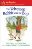 Go to record The Velveteen Rabbit and the boy