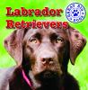 Go to record Labrador retrievers