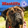 Go to record Mastiffs